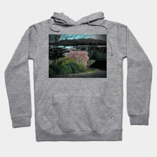 Pretty double exposure picture of lake Hoodie